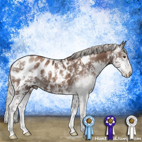 Horse Color:Gray Silver Black Pearl Sabino Appaloosa Rabicano