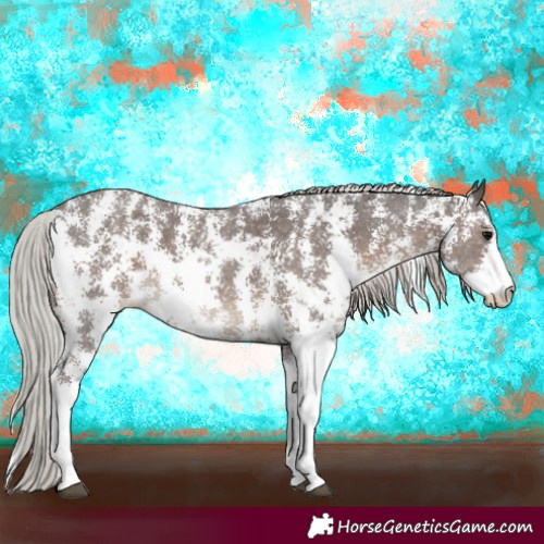 Horse Color:Silver Black Sabino 