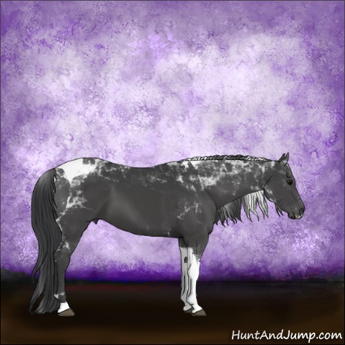 Horse Color:Black Tobiano 