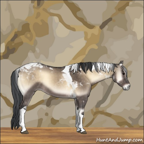 Horse Color:Brown Onyx Tobiano 