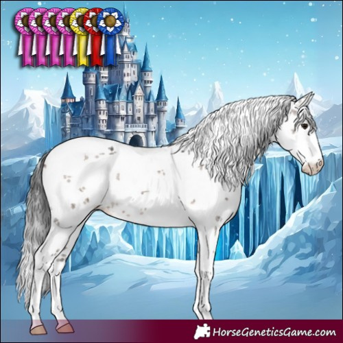 Horse Color:White Spotted Brown Dun Sabino 