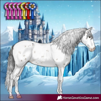 Horse Color:White Spotted Brown Dun Sabino 