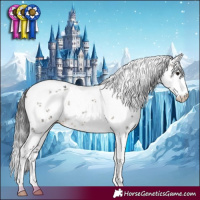 Horse Color:White Spotted Brown Dun Sabino 