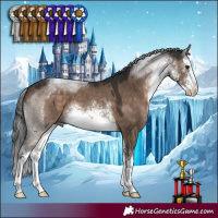 Horse Color:White Spotted Brown Dun