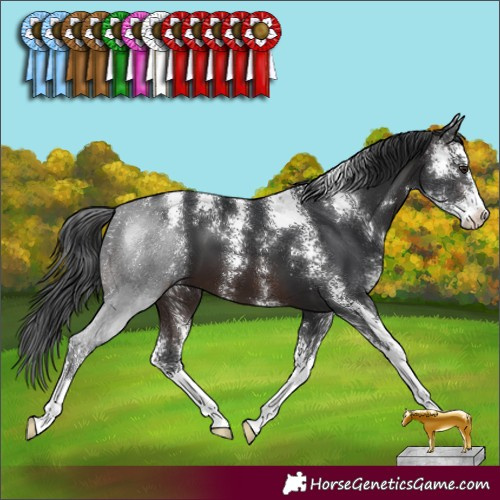 Horse Color:Brown Sabino 
