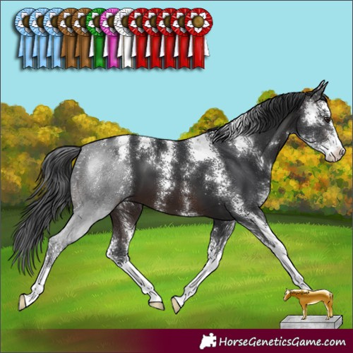 Horse Color:Brown Sabino 