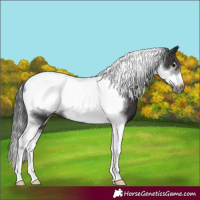 Horse Color:Smoky Black Tobiano Frame 