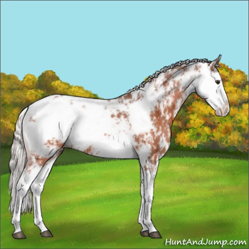 Horse Color:Silver Brown Sabino 