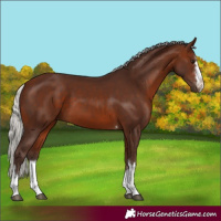 Horse Color:Silver Brown