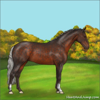 Horse Color:Silver Brown