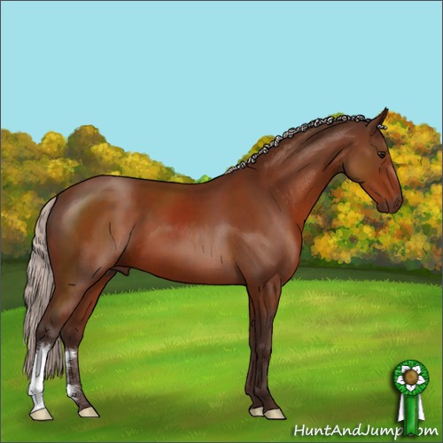 Horse Color:Silver Bay 