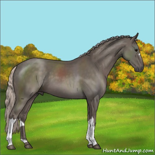 Horse Color:Silver Black 