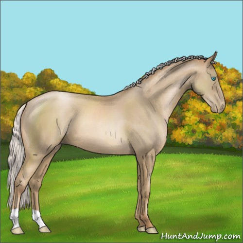 Horse Color:Silver Smoky Black Pearl 