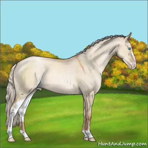 Horse Color:Silver Smoky Grullo Pearl Sabino 