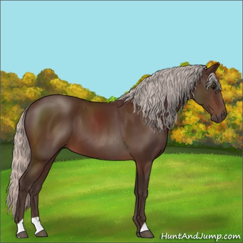 Horse Color:Silver Brown 