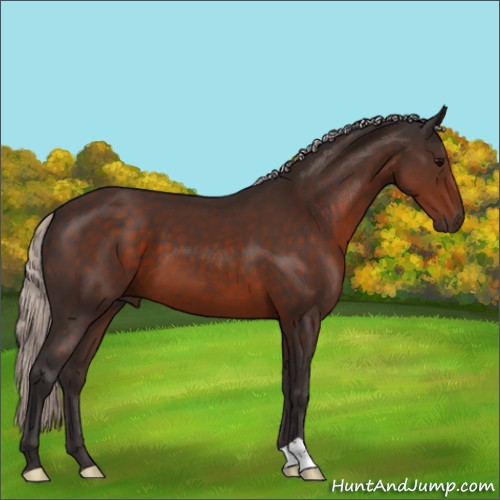 Horse Color:Silver Brown 