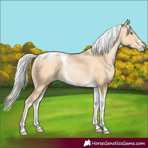 Horse Color:Silver Smoky Black Pearl Tobiano