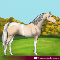 Horse Color:Silver Smoky Black Pearl Tobiano