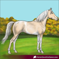 Horse Color:Silver Smoky Black Pearl Tobiano 
