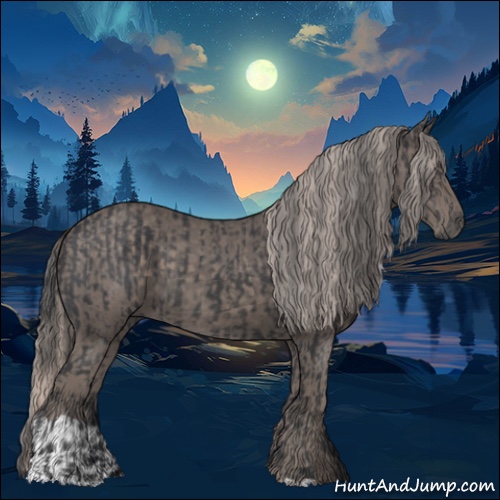 Horse Color:Black  and Silver Black 