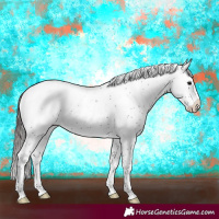 Horse Color:Smoky Black Sabino Varnish Rabicano 