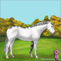 Horse Color:Smoky Black Sabino Frame 
