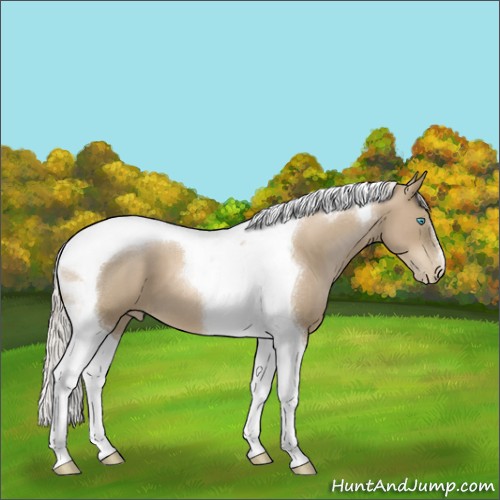 Horse Color:Chocolate Palomino Pearl Tobiano 