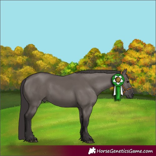 Horse Color:Smoky Grullo 