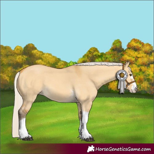 Horse Color:Silver Buckskin Dun Sabino Tobiano 