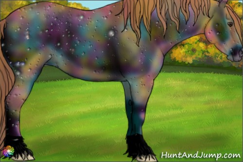 Horse Color:ERROR: UNKNOWN ANOMALY