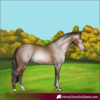 Horse Color:Gray Amber Champagne Sabino 