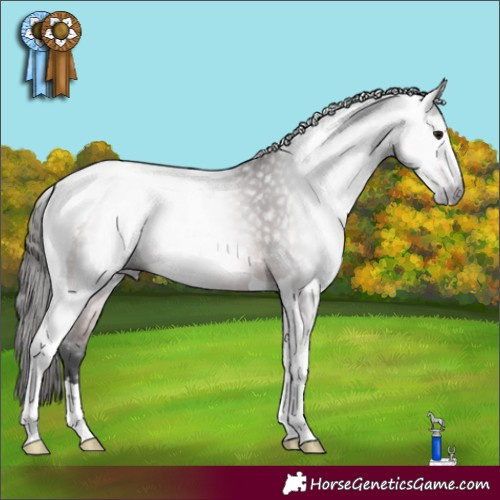 Horse Color:Gray Bay Tobiano 