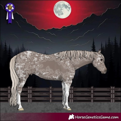 Horse Color:Silver Black Ice Tobiano 