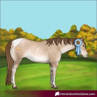 Horse Color:Liver Red Dun Pearl Tobiano Rabicano Brindle 