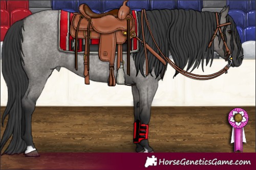 Horse Color:Grullo Roan 