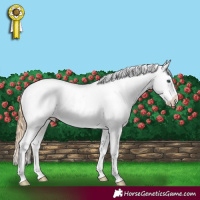 Horse Color:Smoky Black Pearl Appaloosa Rabicano 