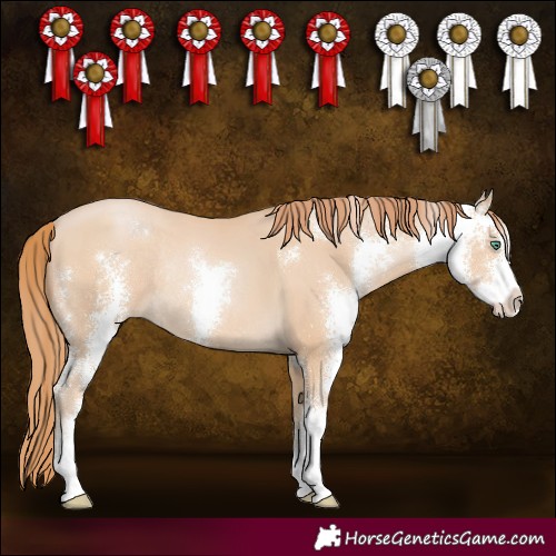 Horse Color:Smoky Black Pearl Sabino Rabicano 