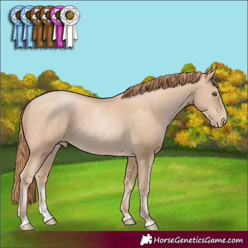 Horse Color:Smoky Black Pearl Rabicano