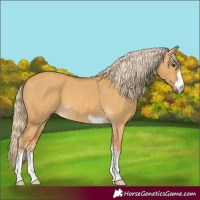 Horse Color:Palomino Dun 