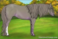 Horse Color:Watercolor Chestnut 
