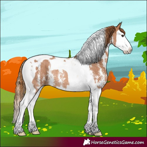Horse Color:Chestnut Sabino Splash Tobiano Rabicano 