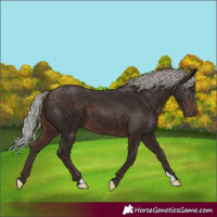Horse Color:Silver Brown Mushroom 
