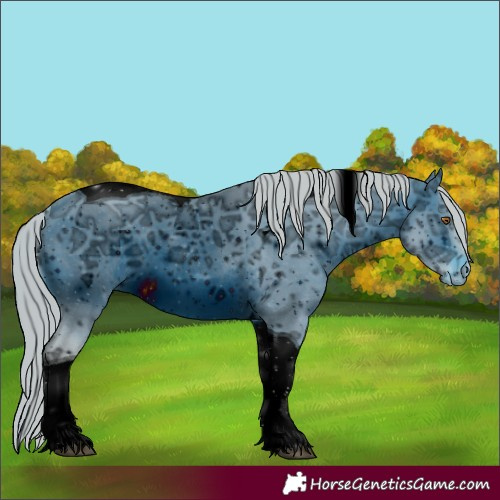 Horse Color:ERROR: UNKNOWN ANOMALY
