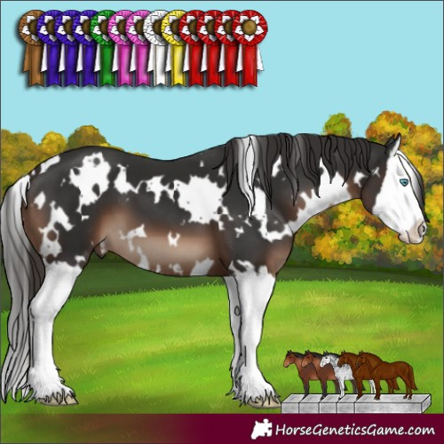 Horse Color:White Spotted Liver Chestnut Splash 