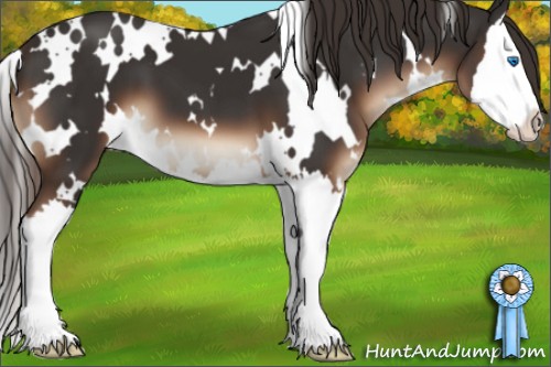 Horse Color:White Spotted Liver Chestnut Splash 