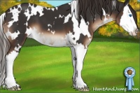 Horse Color:White Spotted Liver Chestnut Splash 