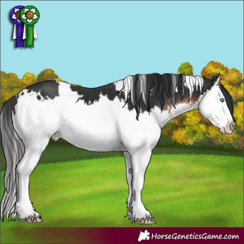 Horse Color:White Spotted Liver Chestnut Splash 
