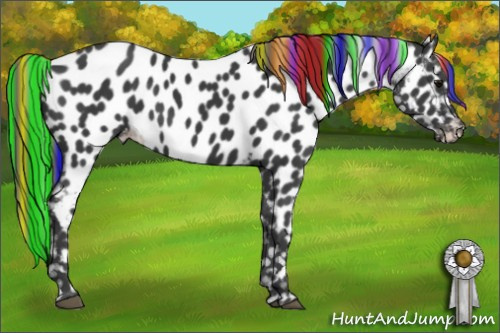 Horse Color:Painted Smoky Black Appaloosa 