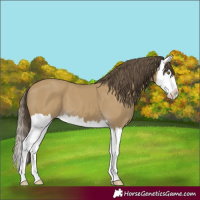 Horse Color:Classic Cream Champagne Splash