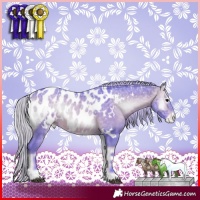 Horse Color:Watercolor White Spotted Silver Brown Ice Onyx Blanket Rabicano 